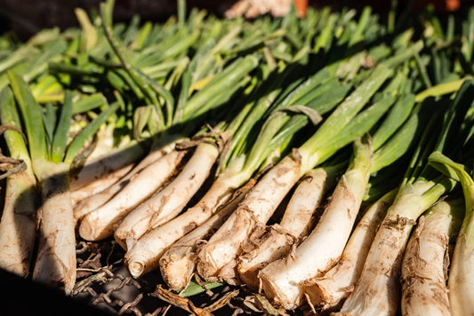 como preparar calçots paso a paso
