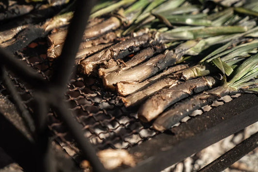 Calçots cocidos