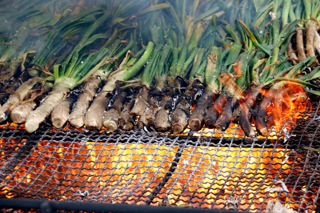 ¿Cómo preparar los calçots en casa?
