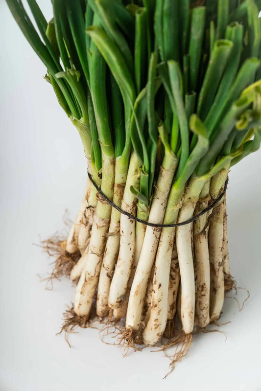 50 calçots frescos y crudos, perfectos para la calçotada